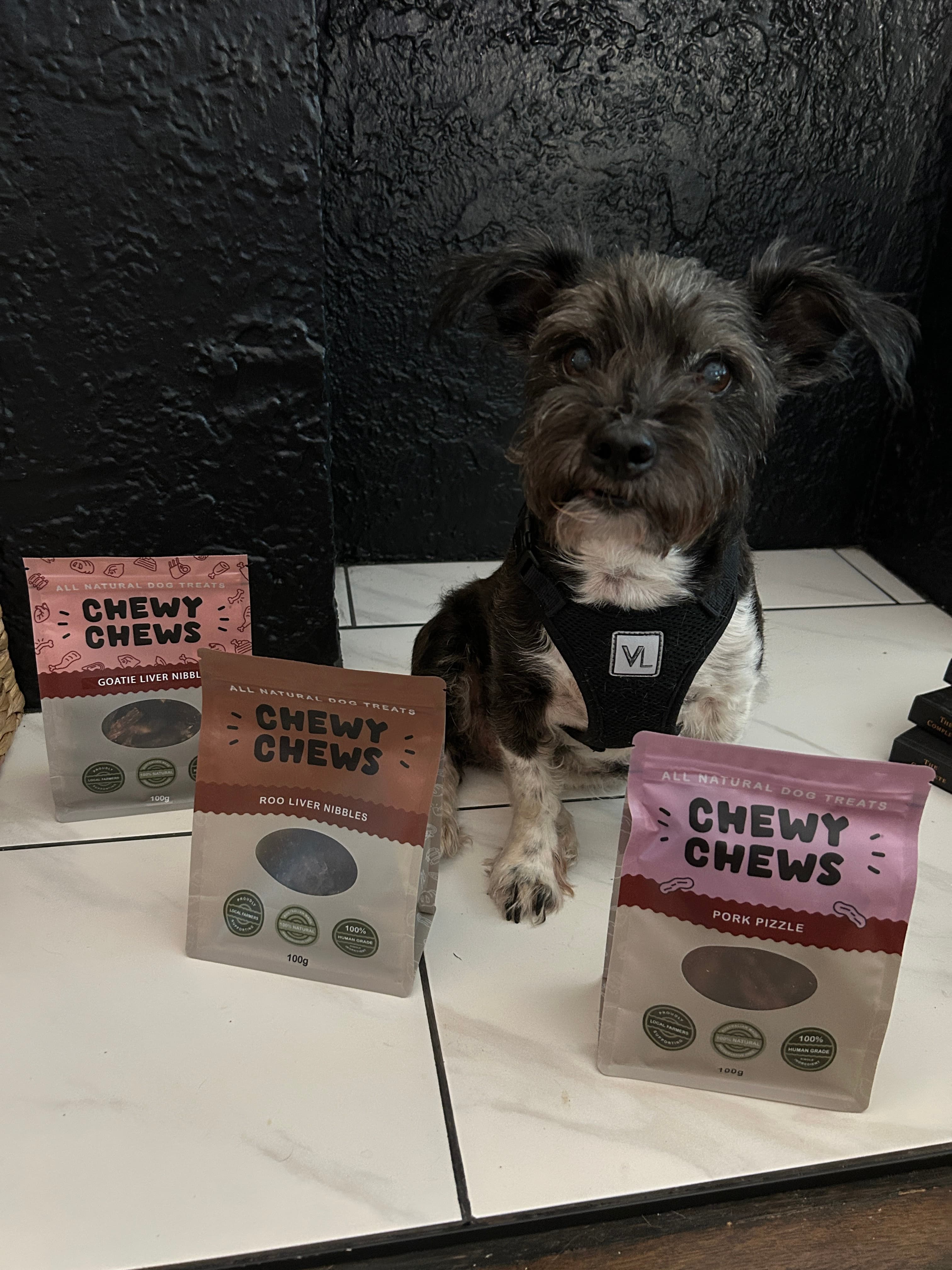 Reese the terrier mix posing with three bags of Chewy Chews treats